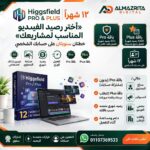 اشتراك هيكس فيلد